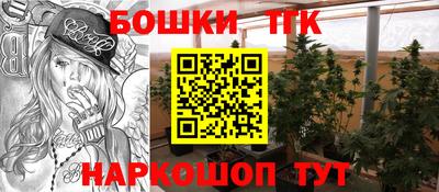 индика Шебекино