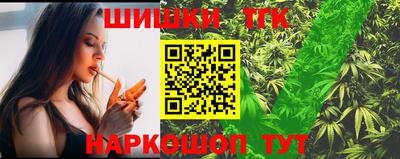 стафф Шелехов