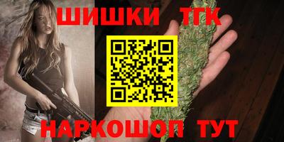 стафф Шелехов