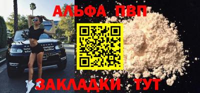 стафф Шелехов